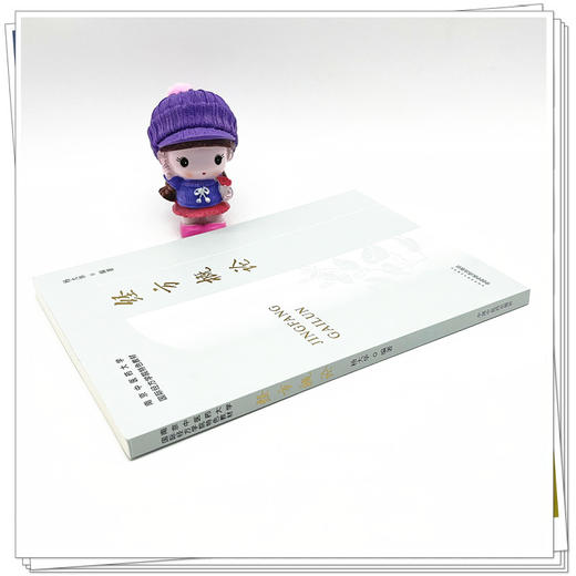 经方概论 南京中医药大学国际经方学院特色教材 杨大华 编著 中国中医药出版社 中医临床 书籍 商品图3