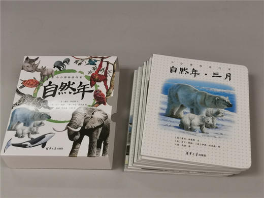 (套装)小小博物旅行家--自然年（12册） 商品图2