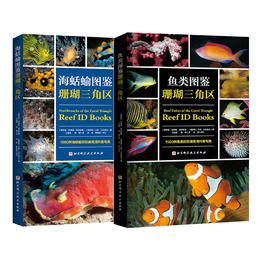 【潜水图书】REEF ID 珊瑚三角区生物识别 《海蛞蝓图鉴—珊瑚三角区》  《鱼类图鉴—珊瑚三角区》