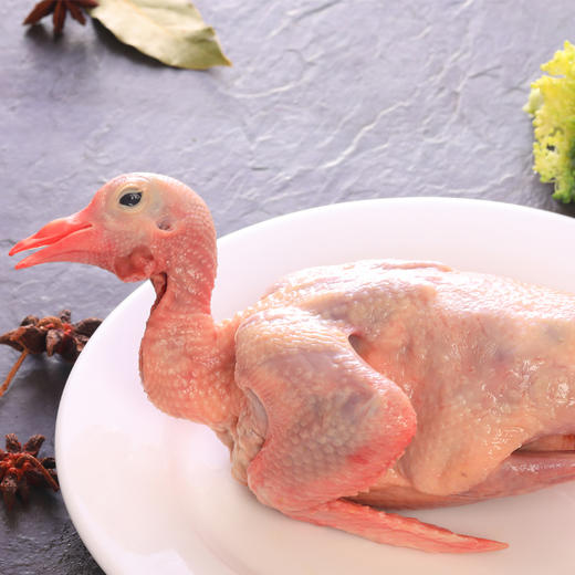 乳鸽约280g[S021] 商品图1
