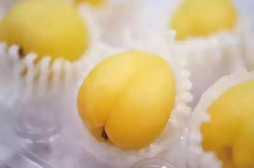 疆小密轮台小白杏3斤装 商品图4