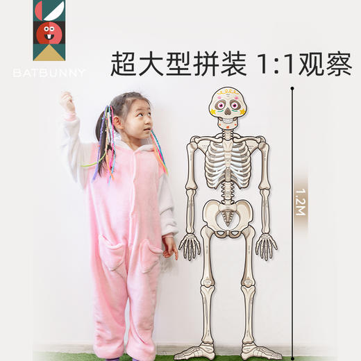 *蝙蝠兔我的骨怪朋友生命人体启蒙双语认知趣味拼图人体科普医生玩具礼物 商品图0