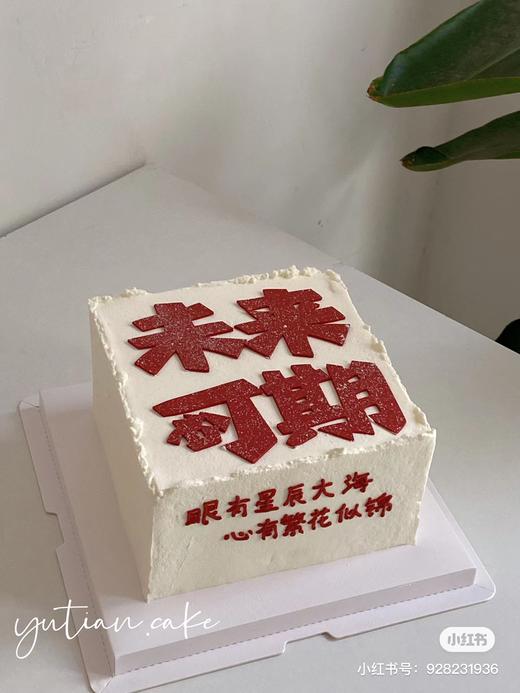 【臻品系列】---方形蛋糕【未来可期】 商品图0