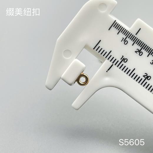 S5605(整包购买) 商品图5