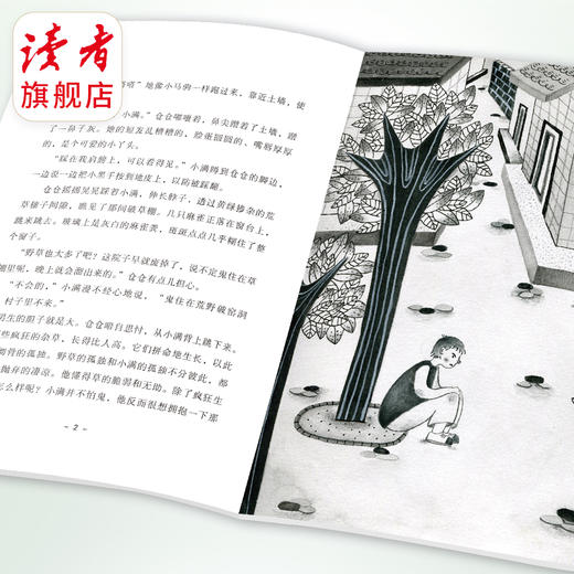《我家住在野狐湾》 刘梅花/著 甘肃少年儿童出版社 商品图4