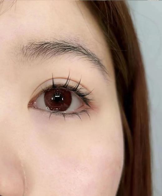 carecon 年抛 死侍红 直径14.5mm着色13.9mm  商品图2