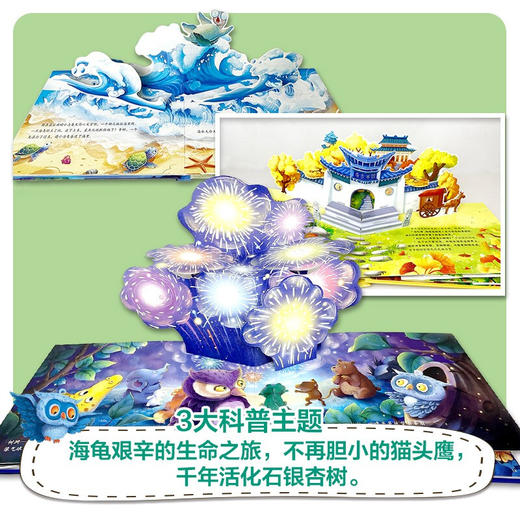 生命是什么 小手翻翻立体书 猫头鹰不再是胆小鬼 海龟艰辛的生命之旅 千年活化石银杏树 3册  网络版 0-2岁 慈琪 著 玩具书 商品图1