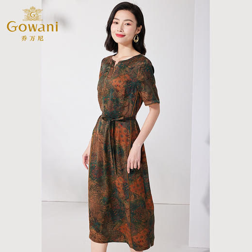 【吉祥物语】【香云纱】乔万尼连衣裙重磅19mm桑蚕丝收腰气质ET2E292 商品图4