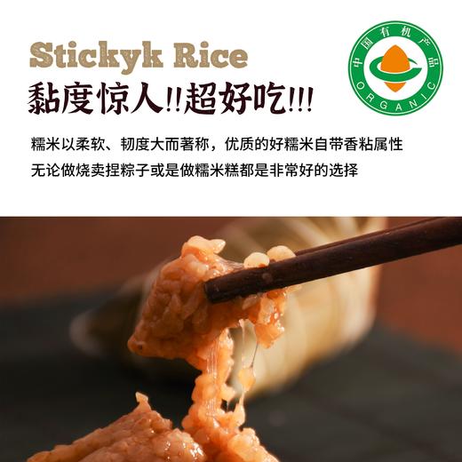 内蒙古有机糯米 商品图2