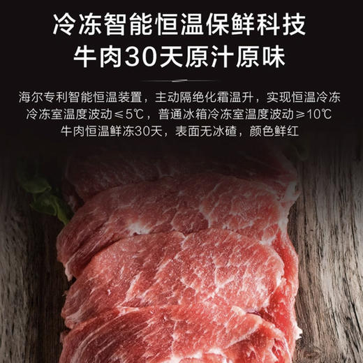 海尔（Haier）冰箱 BCD-520WGHTD14GZU1 商品图5