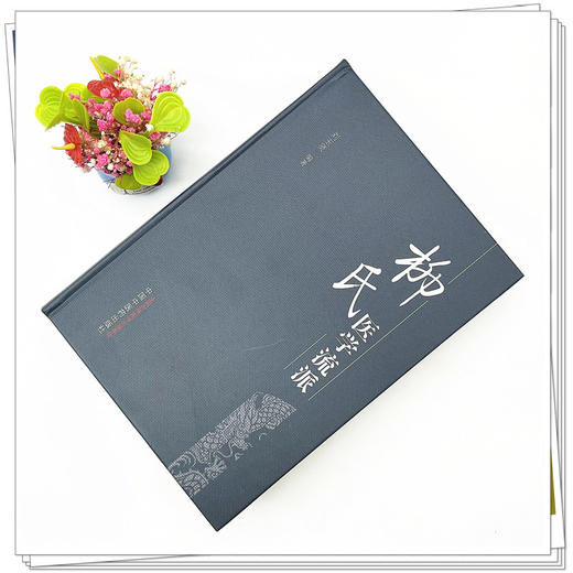 柳氏医学流派 刘玉贤 编著 中国中医药出版社 中医学术 书籍 商品图2