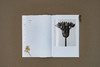 植物的艺术：卡尔·布洛斯菲尔德 摄影画册，70幅经典黑白植物摄影照片 摄影史上的里程碑式作品 商品缩略图3