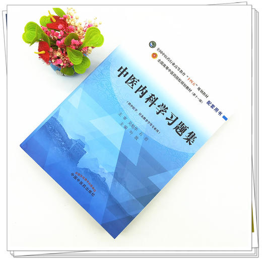 中医内科学习题集 叶放 主编 吴勉华 石岩 主审（全国高等教育十四五规划教材配套习题集）中国中医药出版社 第十一版书籍 商品图2