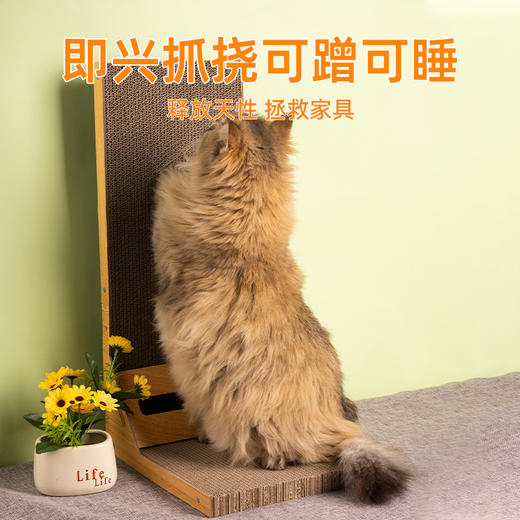 【宠物用品】-吉通猫抓板立式耐磨带球球猫猫用品 商品图3