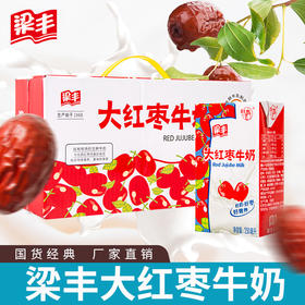 梁丰大红枣牛奶250ml*20盒（6个月保质期）