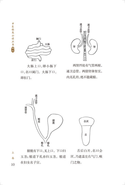 新版 医林改错 中医临床必读丛书重刊 清王清任撰 李天德等整理 人民卫生出版社 大型医学丛书中医临床参考书籍 9787117345927 商品图3