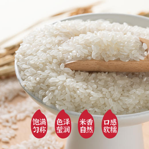 【惠州外运】隆平芯米（岁穗稻香） 五常有机大米500g*8 礼盒装 商品图2
