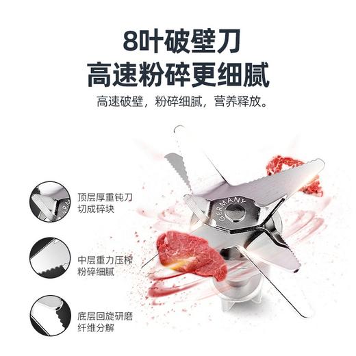 山水（SANSUI）料理机榨汁机破壁机SJ-5216 白色 商品图3