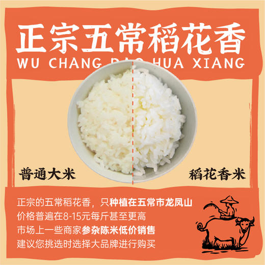 隆平芯米(五常大米) 500g/2.5kg/5kg 五常稻花香2号 核心龙凤山产区 商品图1