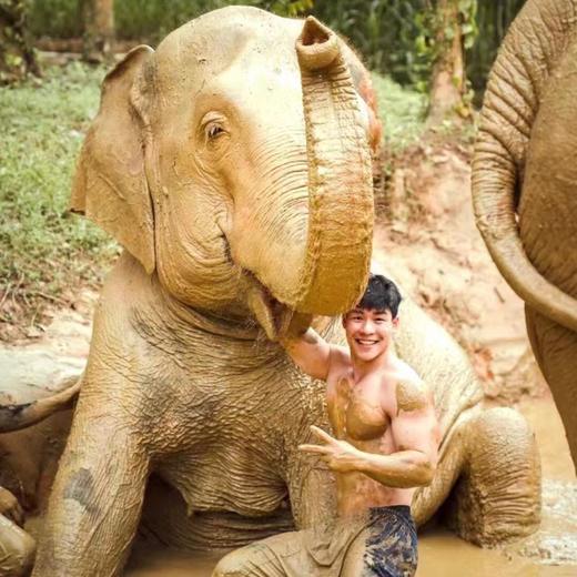 【奈迪大象保护营】泰国普吉岛大象洗澡 呵护小象玩乐园 全岛接送 商品图4