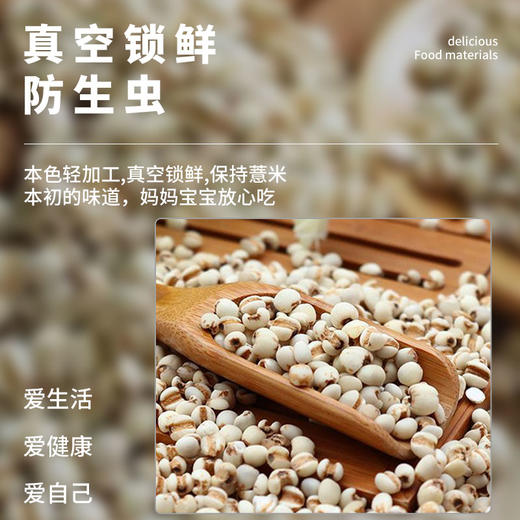 【宁夏中卫 薏米】 500g*3袋装  粒粒精选，品质看得见 商品图1