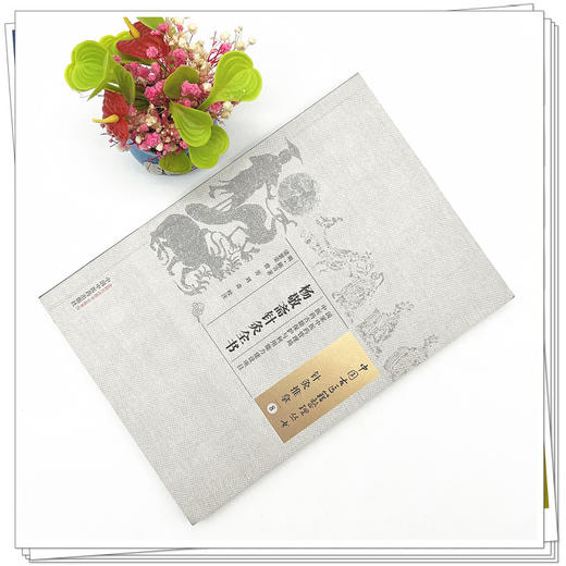 杨敬斋针灸全书（中国古医籍整理丛书 针灸推拿8） 明.陈言 著 中国中医药出版社 针灸学书籍 商品图2