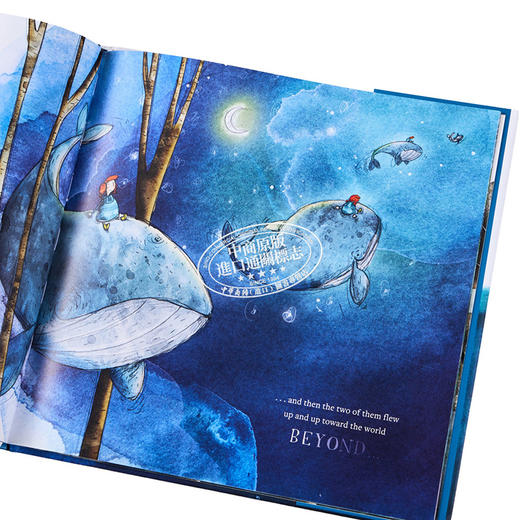 预售 【中商原版】Simon Rothlisberger 艾达和鲸鱼 Ida and the Whale 儿童绘本 哲学故事图画书 英文原版 进口图书 商品图3