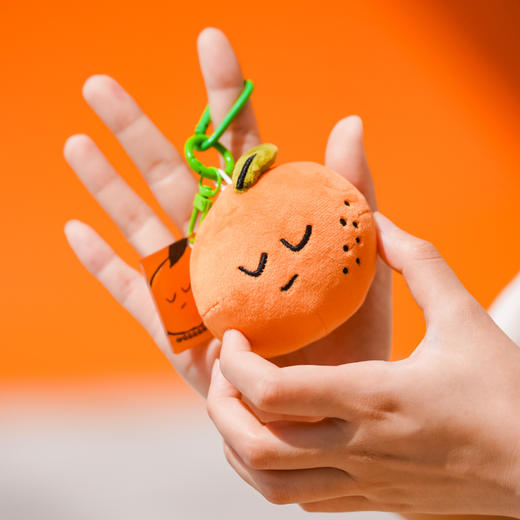 公益系列毛绒钥匙链挂饰 商品图2