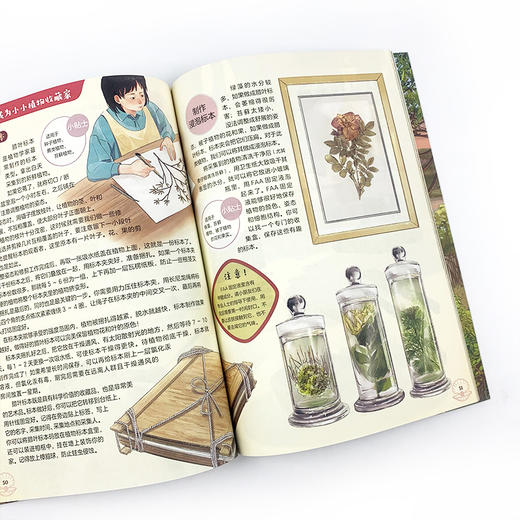 《科学家带你玩转大自然（全2册））》 商品图8