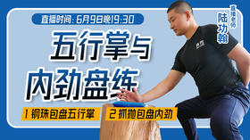 6月9日五行掌与内劲盘练（带练）