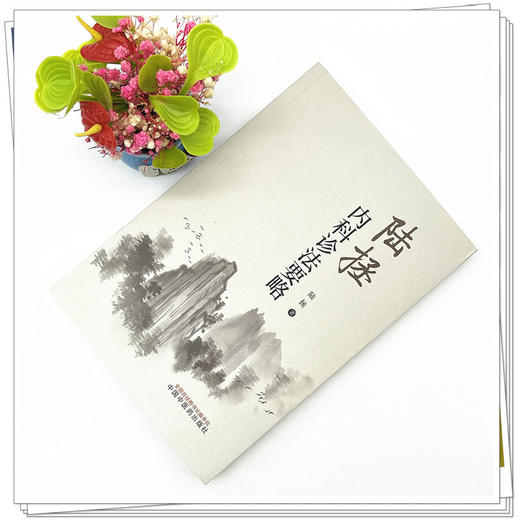 陆拯内科诊法要略 陆拯 著 中国中医药出版社 中医临床书籍 供教学科研中医及爱好者参考 商品图2