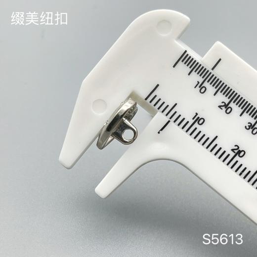 S5613(整包购买) 商品图4