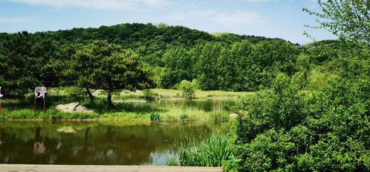 露营嘉年华 |棋盘山紫悦山庄 商品图3