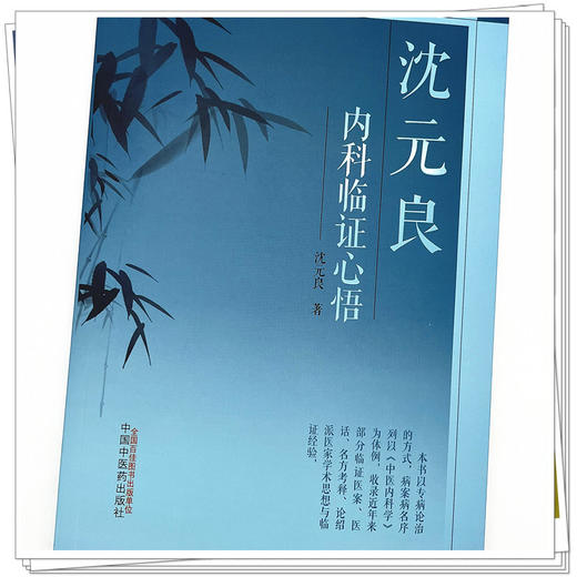 沈元良内科临证心悟 沈元良 著 中国中医药出版社 临诊医案医话 名方考释 论绍派医家学术思想与临证经验 精选名方 商品图4