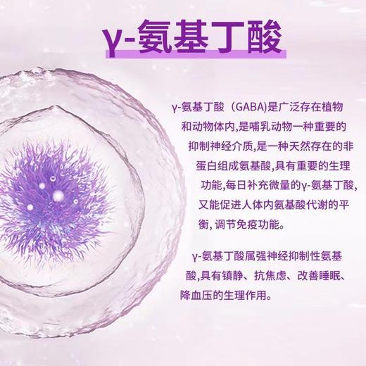 华北制药 γ-氨基丁酸片 舒心缓解安睡整晚成人 60片/瓶 商品图2