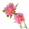 配花 | 迷你菊粉 商品缩略图4