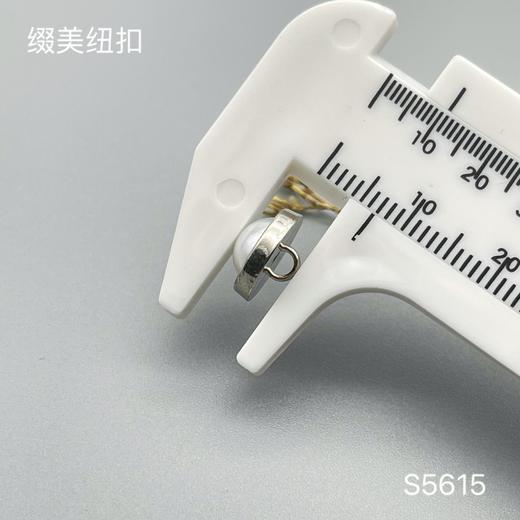 S5615(整包购买) 商品图4