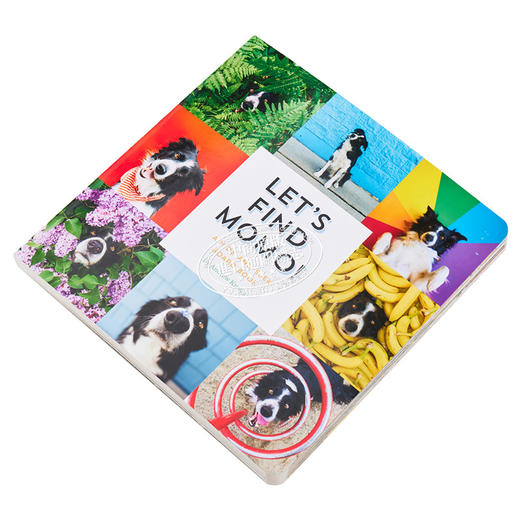 预售 【中商原版】Lets Find Momo寻找莫莫1 让我们找到Momo 英文原版纸板书 A Hide-And-Seek Board Book 狗狗找找书 捉迷藏的书 商品图2