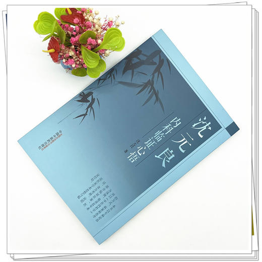 沈元良内科临证心悟 沈元良 著 中国中医药出版社 临诊医案医话 名方考释 论绍派医家学术思想与临证经验 精选名方 商品图2
