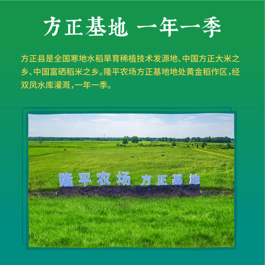 隆平芯米（富硒长粒香）5kg 富硒大米 东北方正产地 商品图3