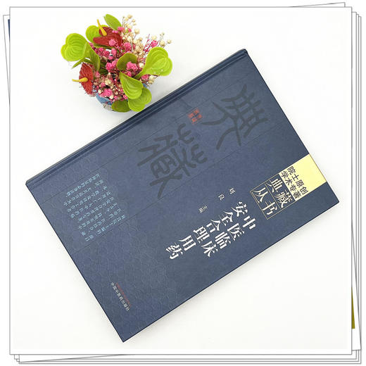 中医临床安全合理用药 刘良 主编 中国中医药出版社 院士原创学术专著典藏丛书 中医临床 书籍 商品图2