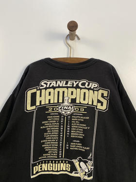 Y2K Vintage Reebok 锐步 斯坦利杯（Stanley Cup） NHL 美国国家冰球联盟 短袖T恤 _SST(L)