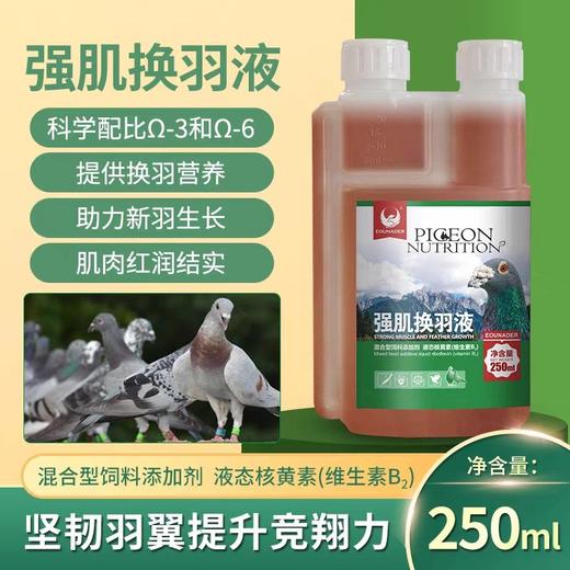 欧耐德【强肌换羽液】250ml鸽子用品换羽期营养品光亮羽毛加速换羽 商品图0