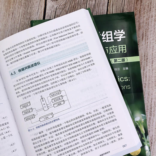 植物代谢组学：方法与应用 商品图4