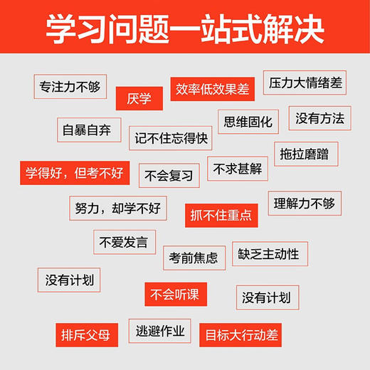 火箭学习法 陆丽萍 等 著 家教方法 商品图3