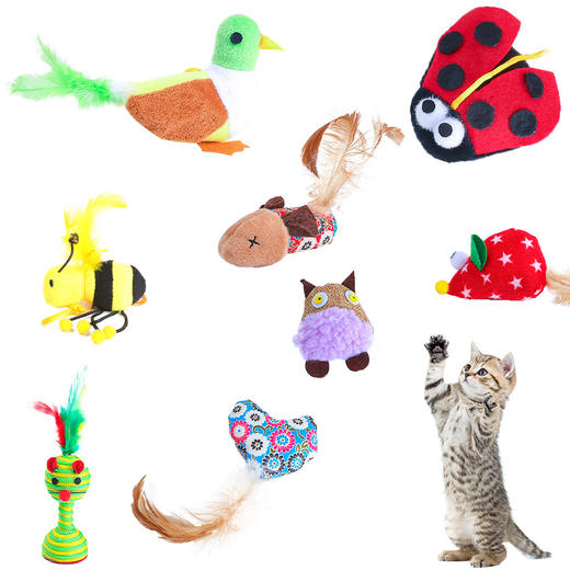 【宠物用品】-新款带响纸猫玩具 含猫薄荷猫咪玩具 商品图4
