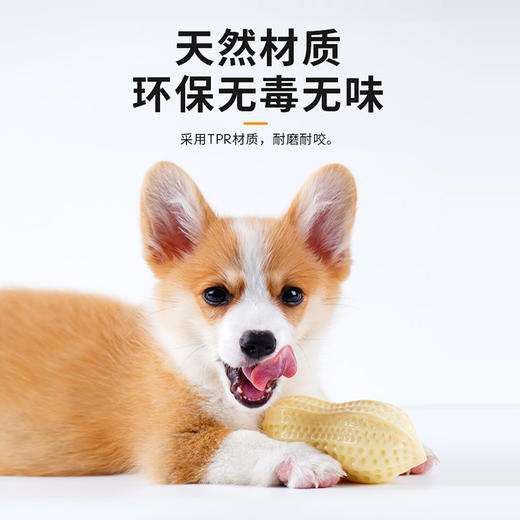 狗狗玩具 发声花生盒装 互动自嗨解闷磨牙 耐磨耐咬材质安全 宠物玩具 商品图3