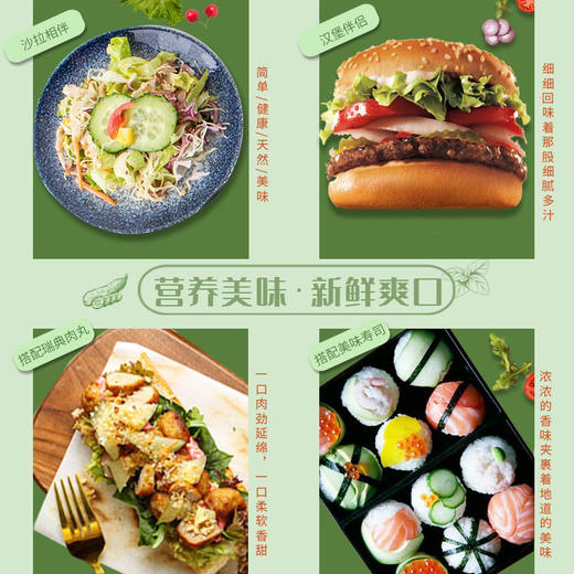 菲力斯酸黄瓜700g 商品图5