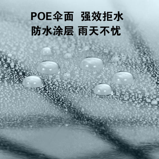「高颜值！加固16骨」16骨透明伞 抗风自动纯色小清新网红伞透明直杆雨伞居家日用 商品图3