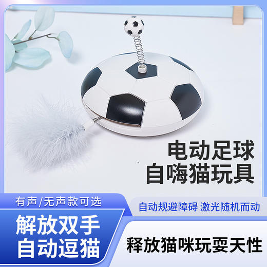 【宠物用品】-转盘发声羽毛自动逗猫宠物电动足球 商品图0